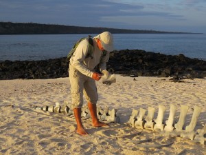 Harry teaching a group about whale bones found on the beach