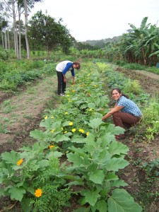 One of the gardens at the farm