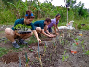 Sustainable agriculture